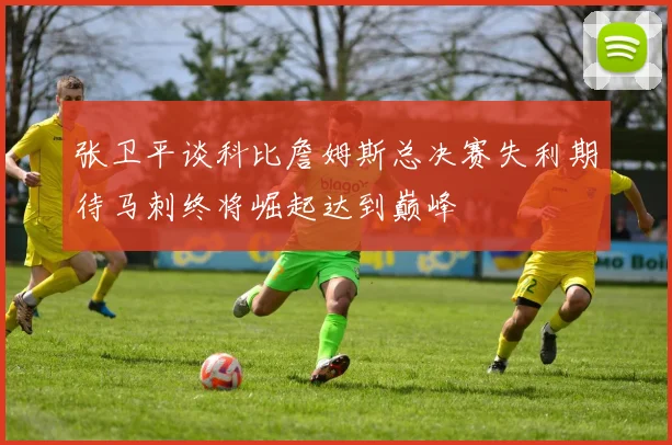 张卫平谈科比詹姆斯总决赛失利期待马刺终将崛起达到巅峰