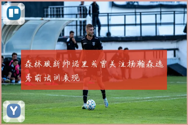 森林狼新帅诺里或曾关注杨瀚森选秀前试训表现