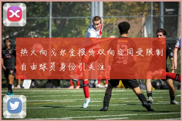 热火向戈尔金报价双向合同受限制自由球员身份引关注