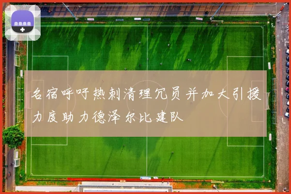 名宿呼吁热刺清理冗员并加大引援力度助力德泽尔比建队
